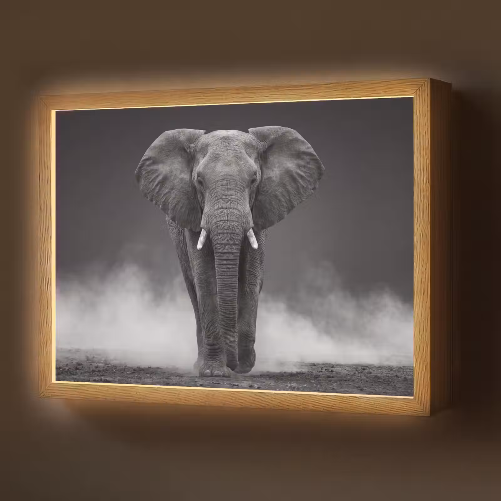 Lightbox - Wandlamp - Olifant - Zwart - Wit - Rook — 1
