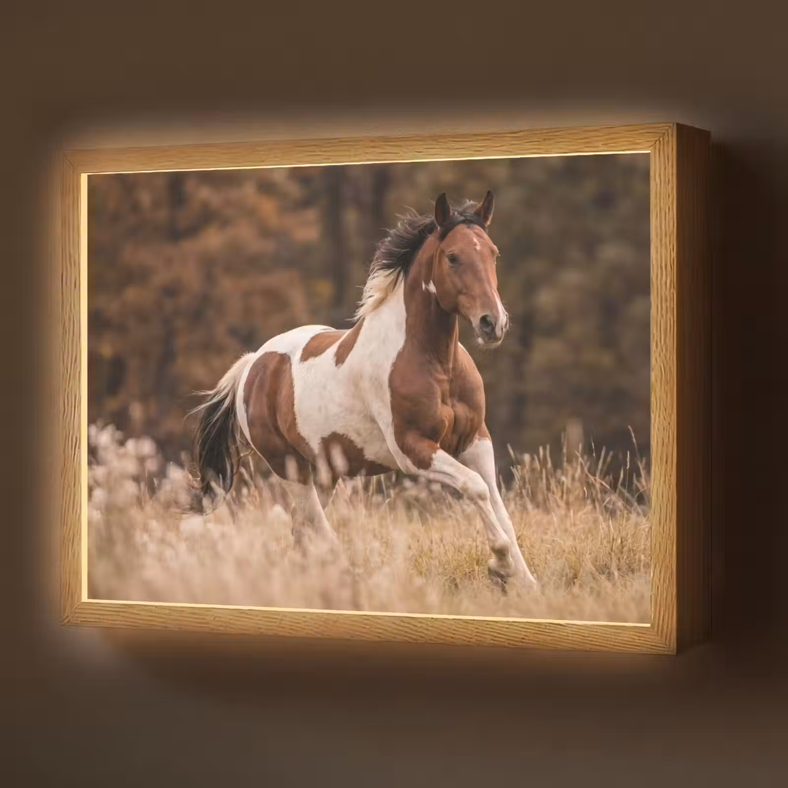 Lightbox - Wandlamp - Paard - Bruin - Gras — 1