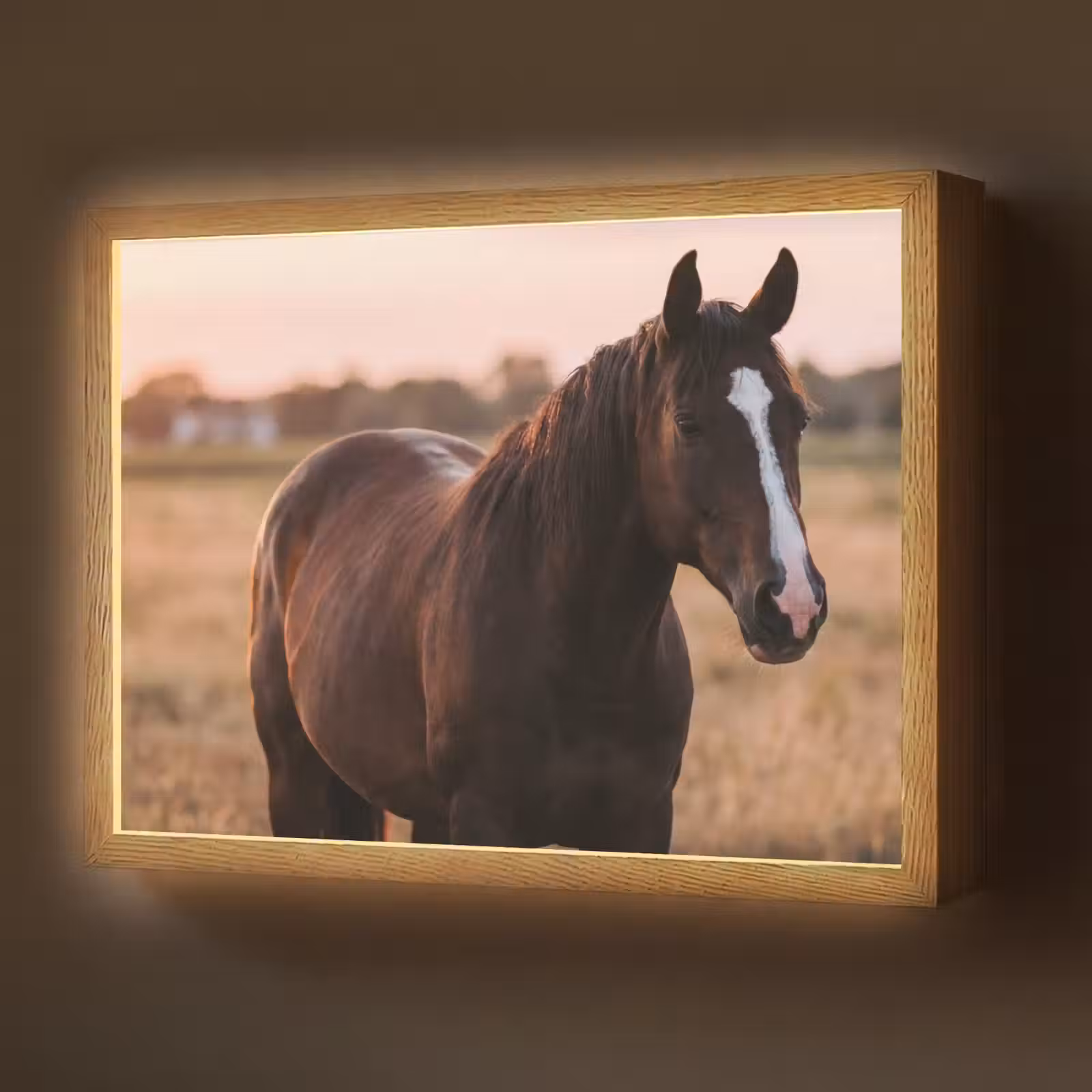 Lightbox - Wandlamp - Paard - Zonsondergang - Bruin — 1