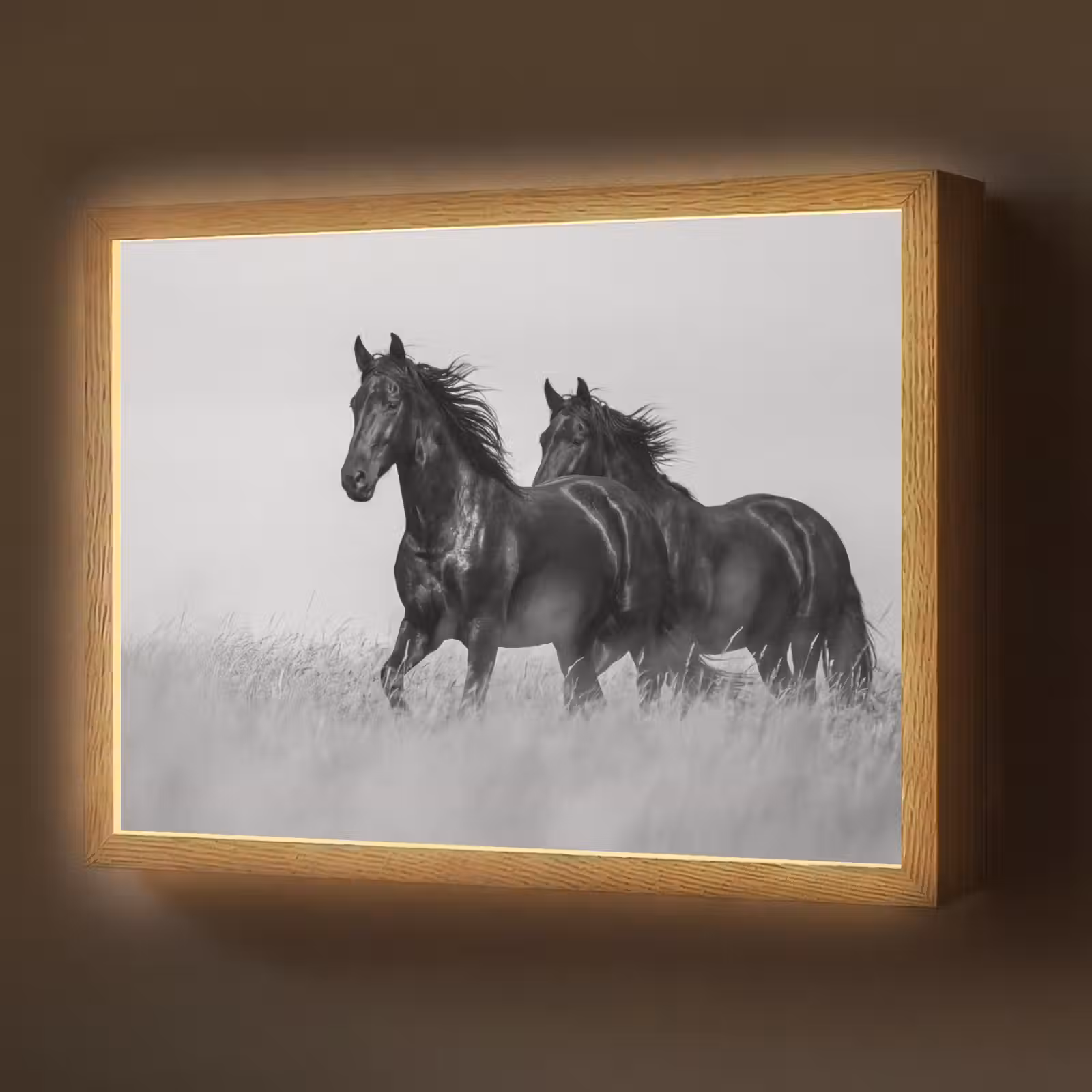 Lightbox - Wandlamp - Paarden - Gras - Zwart - Wit — 1