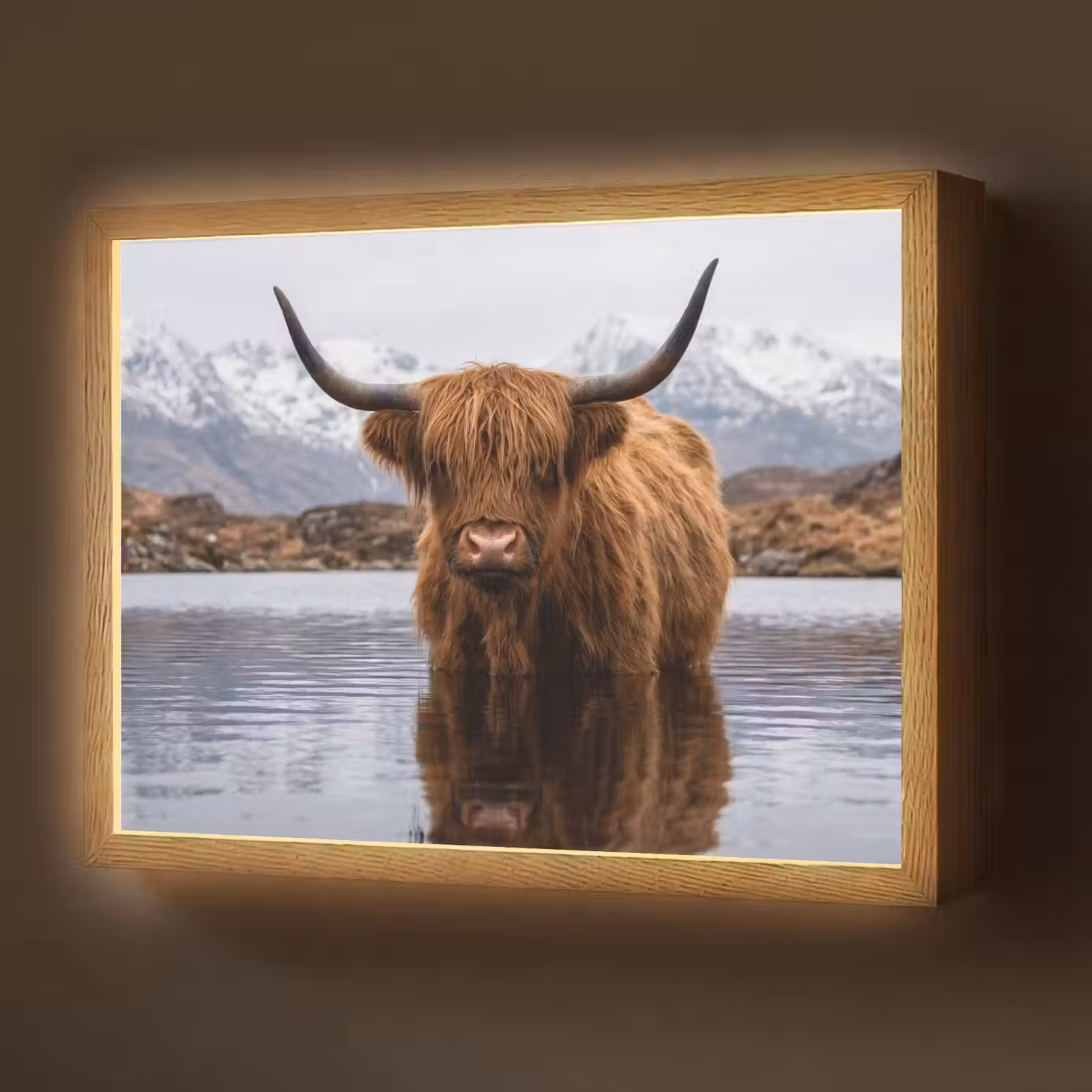 Lightbox - Wandlamp - Schotse hooglander - Bruin - Water — 1