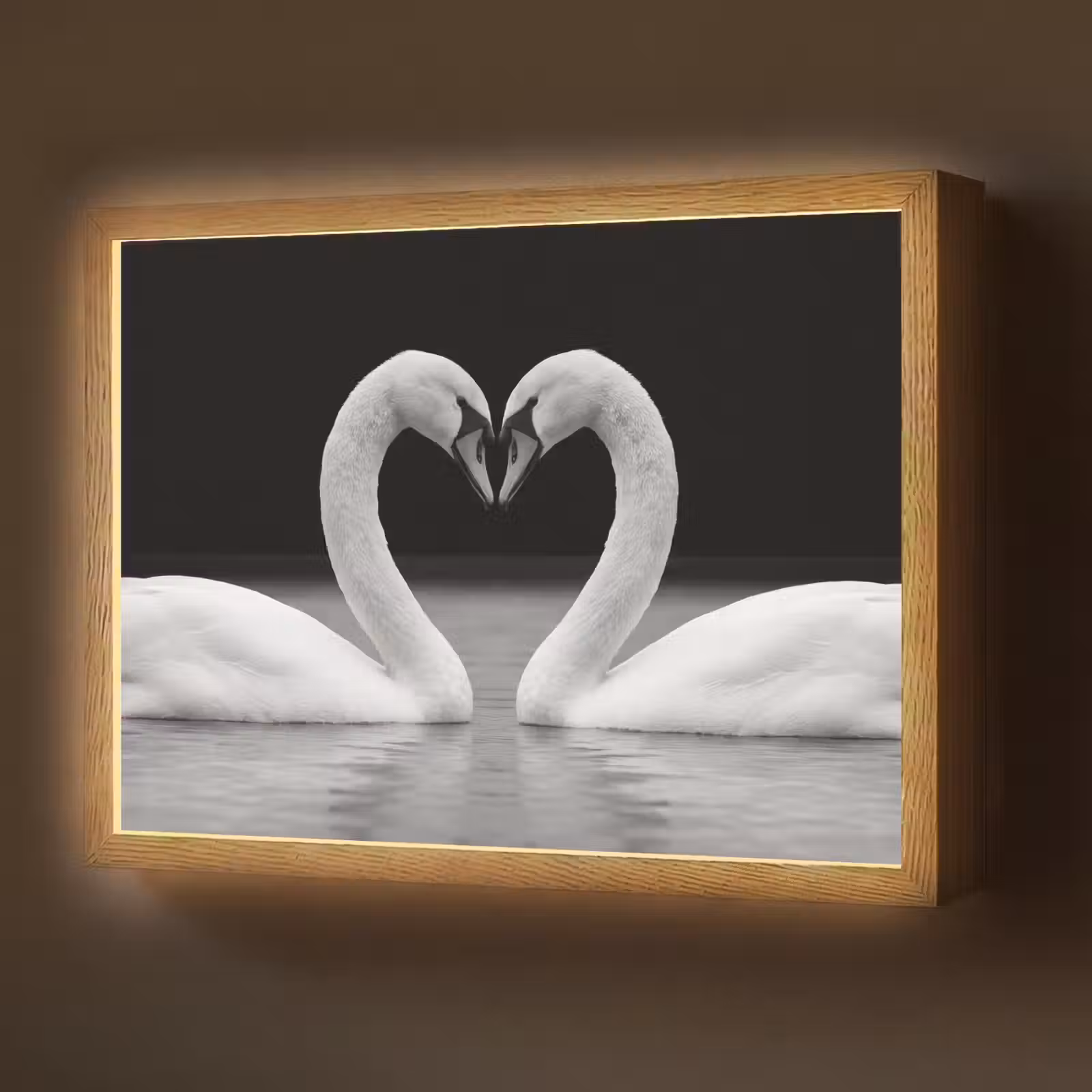 Lightbox - Wandlamp - Zwanen - Hart - Zwart - Wit — 1
