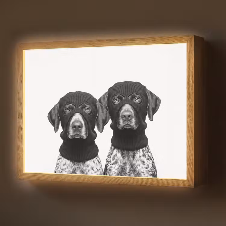 Lightbox - Wandlamp - Honden - Bivakmuts - Zwart - wit — 1