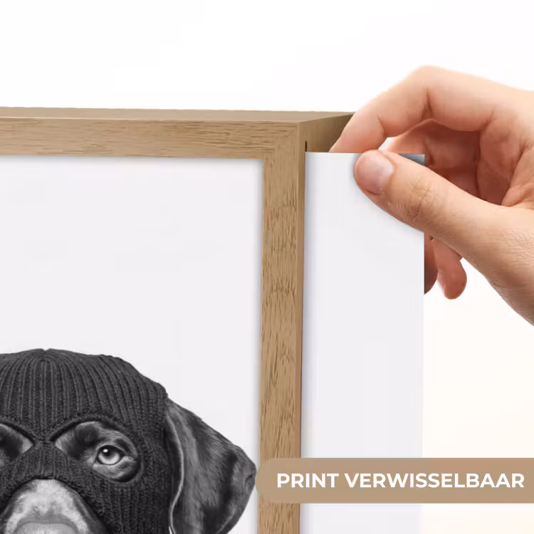 Lightbox - Wandlamp - Honden - Bivakmuts - Zwart - wit — 5