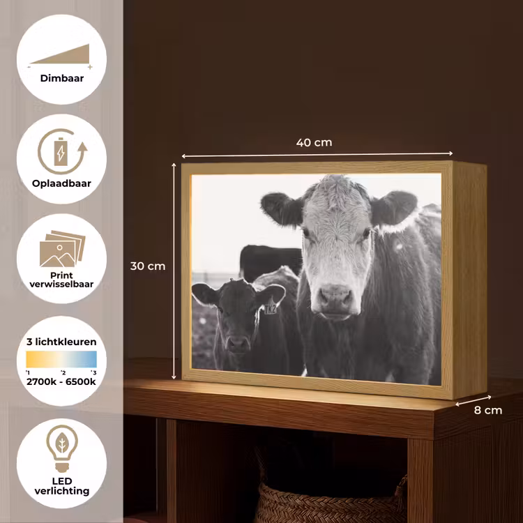 Lightbox - Wandlamp - Koeien - Zwart - Wit — 10