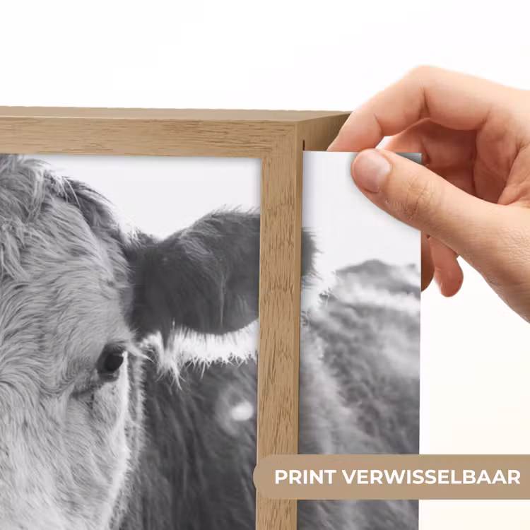 Lightbox - Wandlamp - Koeien - Zwart - Wit — 5