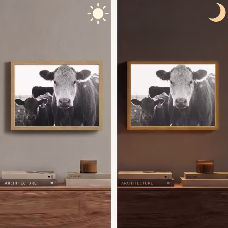 Lightbox - Wandlamp - Koeien - Zwart - Wit — 6