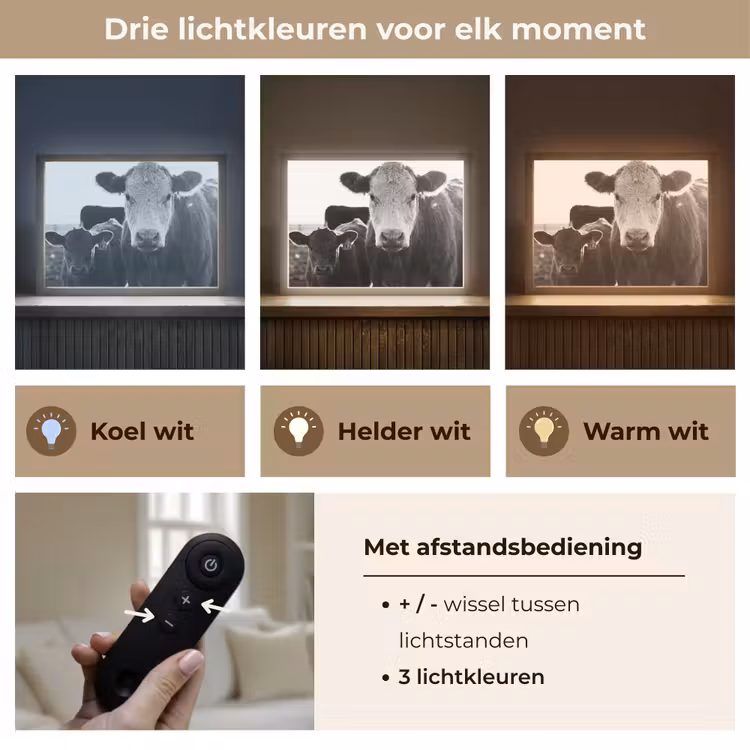 Lightbox - Wandlamp - Koeien - Zwart - Wit — 8