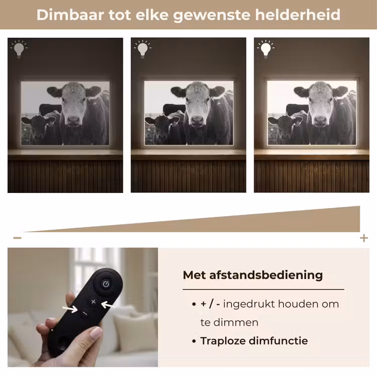 Lightbox - Wandlamp - Koeien - Zwart - Wit — 9
