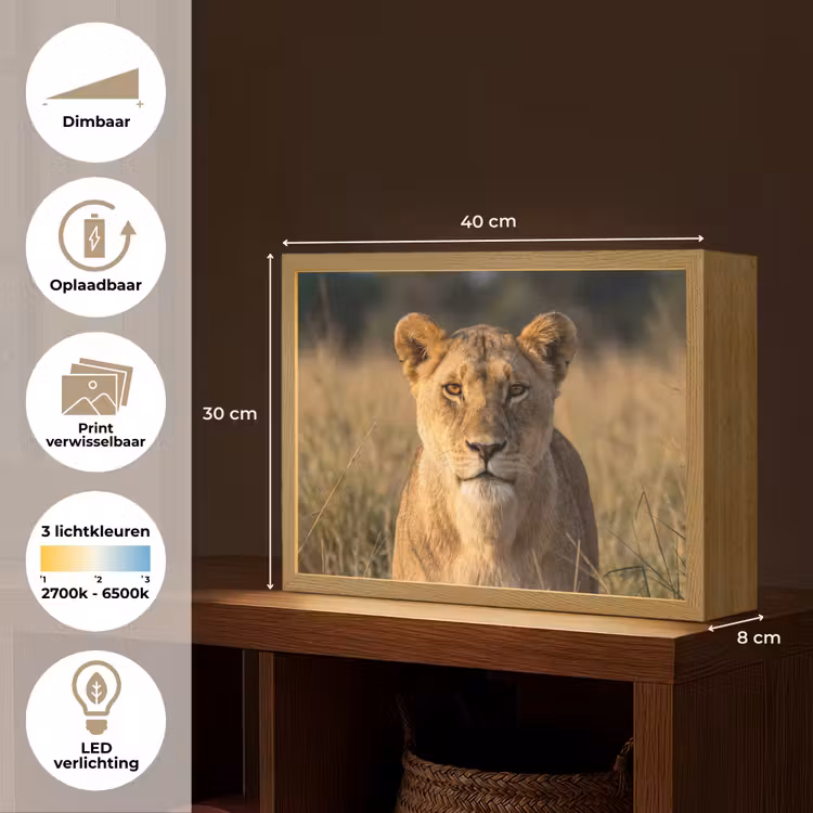 Lightbox - Wandlamp - Leeuwin - Gras - Geel — 10