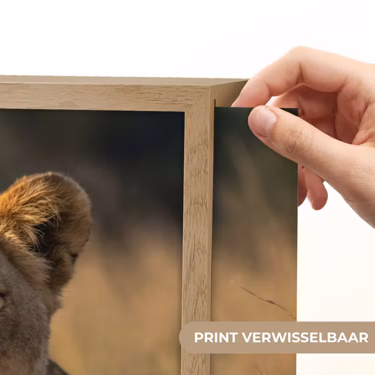 Lightbox - Wandlamp - Leeuwin - Gras - Geel — 5