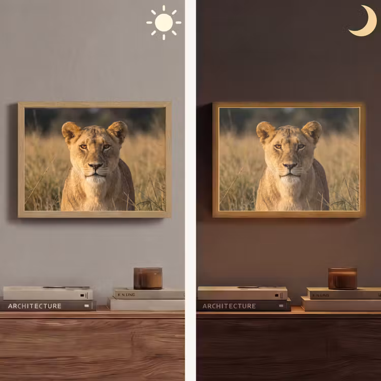 Lightbox - Wandlamp - Leeuwin - Gras - Geel — 6