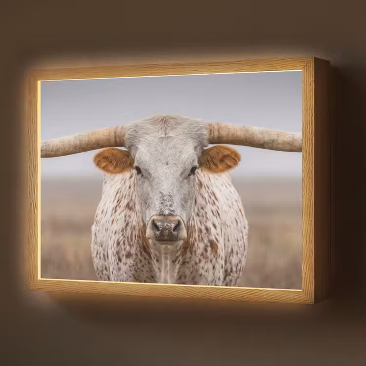 Lightbox - Wandlamp - Longhorn - Grasveld - Dier — 1