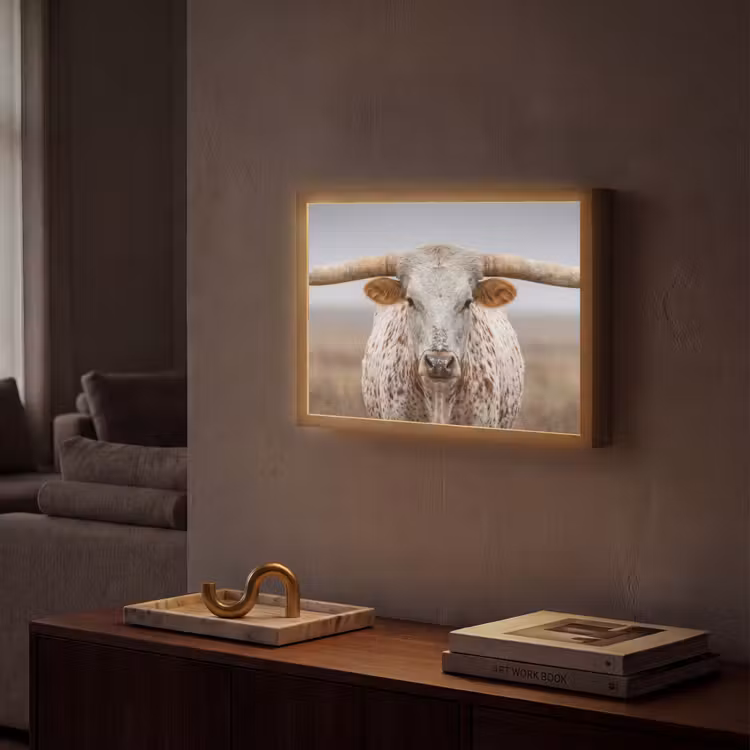 Lightbox - Wandlamp - Longhorn - Grasveld - Dier — 2