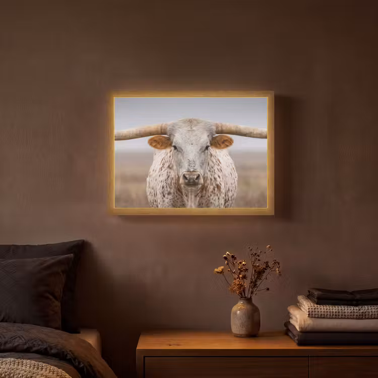 Lightbox - Wandlamp - Longhorn - Grasveld - Dier — 3