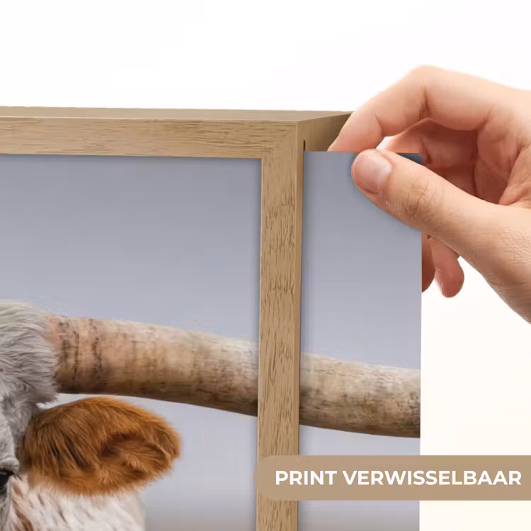 Lightbox - Wandlamp - Longhorn - Grasveld - Dier — 5