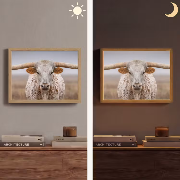 Lightbox - Wandlamp - Longhorn - Grasveld - Dier — 6
