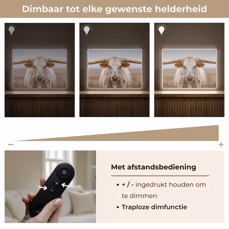 Lightbox - Wandlamp - Longhorn - Grasveld - Dier — 9