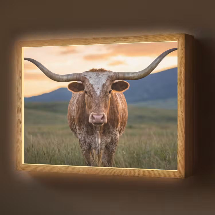Lightbox - Wandlamp - Longhorn - Landschap - Zonsondergang — 1