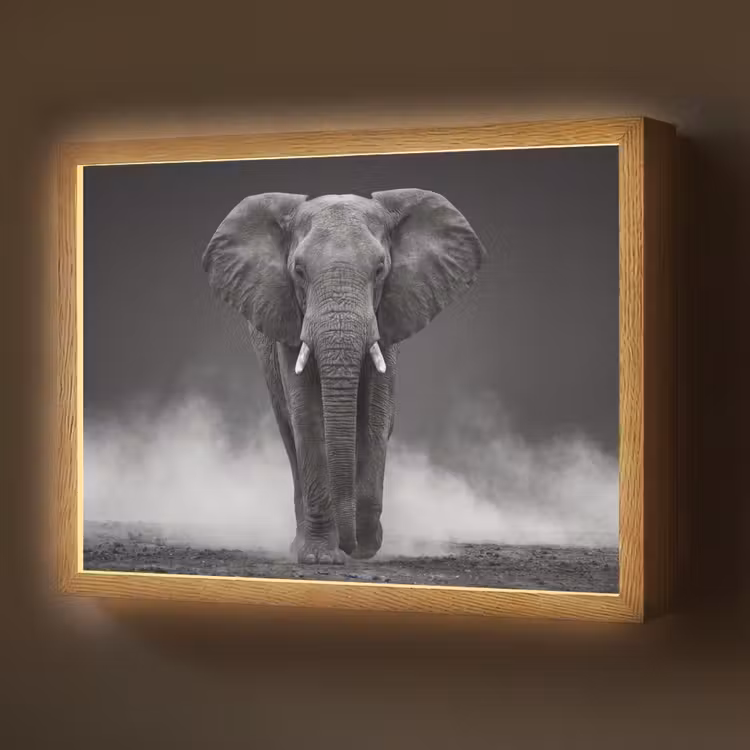 Lightbox - Wandlamp - Olifant - Zwart - Wit - Rook — 1