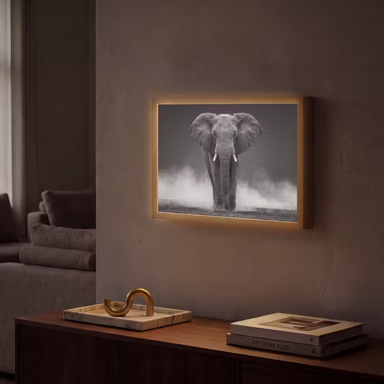Lightbox - Wandlamp - Olifant - Zwart - Wit - Rook — 2