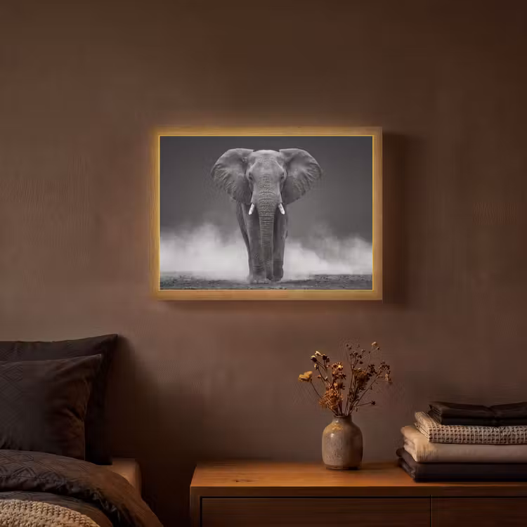 Lightbox - Wandlamp - Olifant - Zwart - Wit - Rook — 3