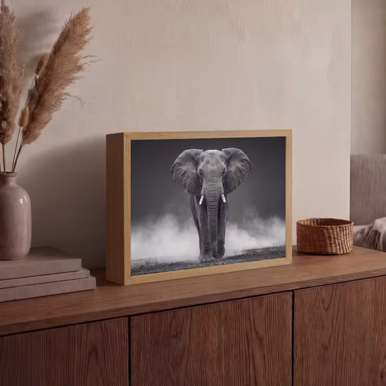 Lightbox - Wandlamp - Olifant - Zwart - Wit - Rook — 4