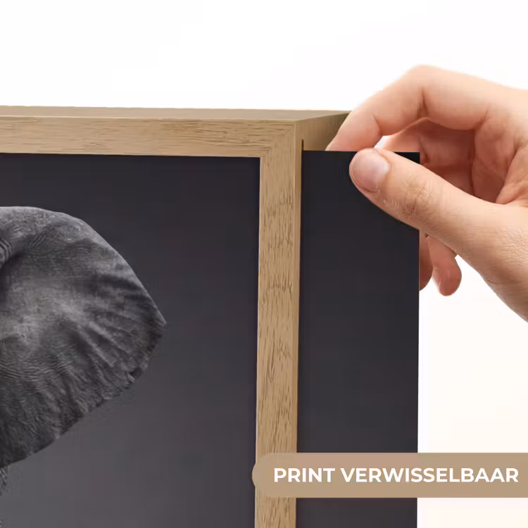 Lightbox - Wandlamp - Olifant - Zwart - Wit - Rook — 5