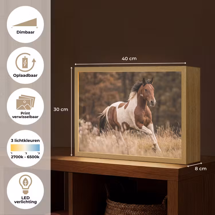 Lightbox - Wandlamp - Paard - Bruin - Gras — 10