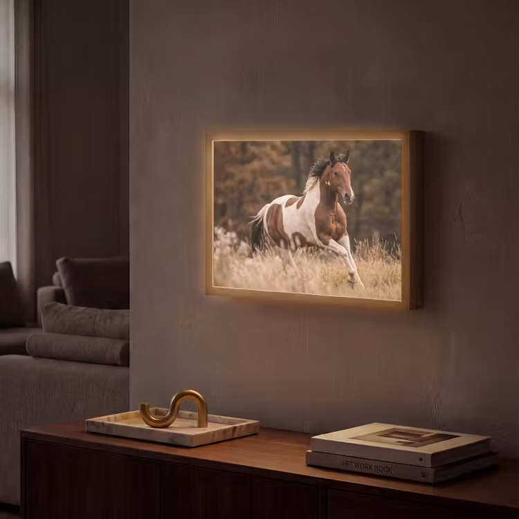 Lightbox - Wandlamp - Paard - Bruin - Gras — 2
