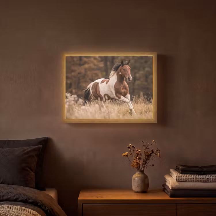 Lightbox - Wandlamp - Paard - Bruin - Gras — 3