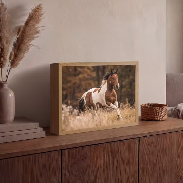 Lightbox - Wandlamp - Paard - Bruin - Gras — 4
