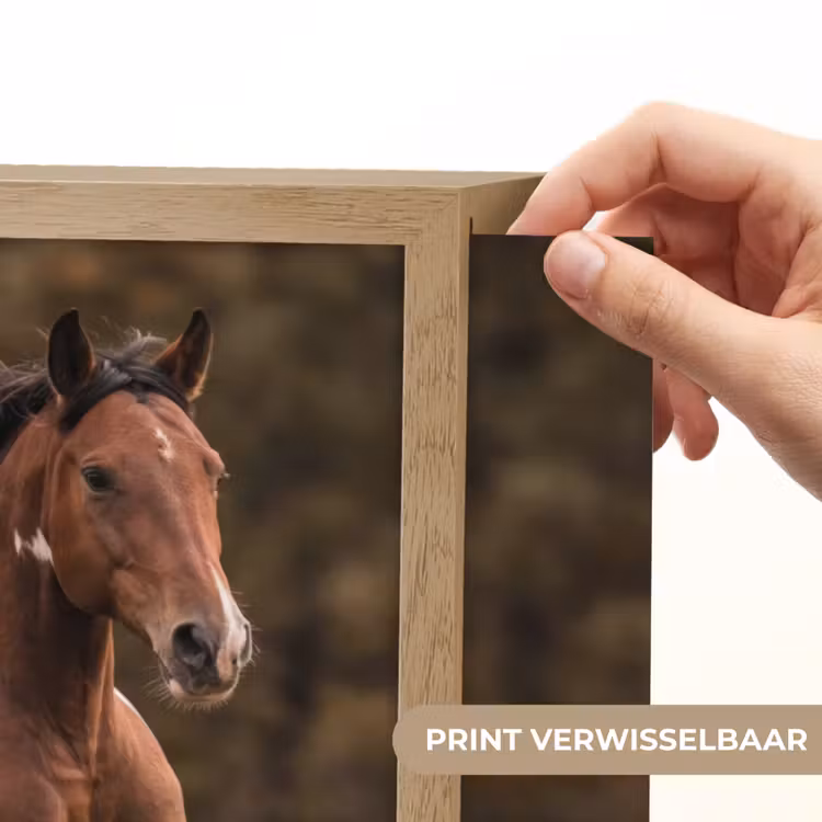 Lightbox - Wandlamp - Paard - Bruin - Gras — 5