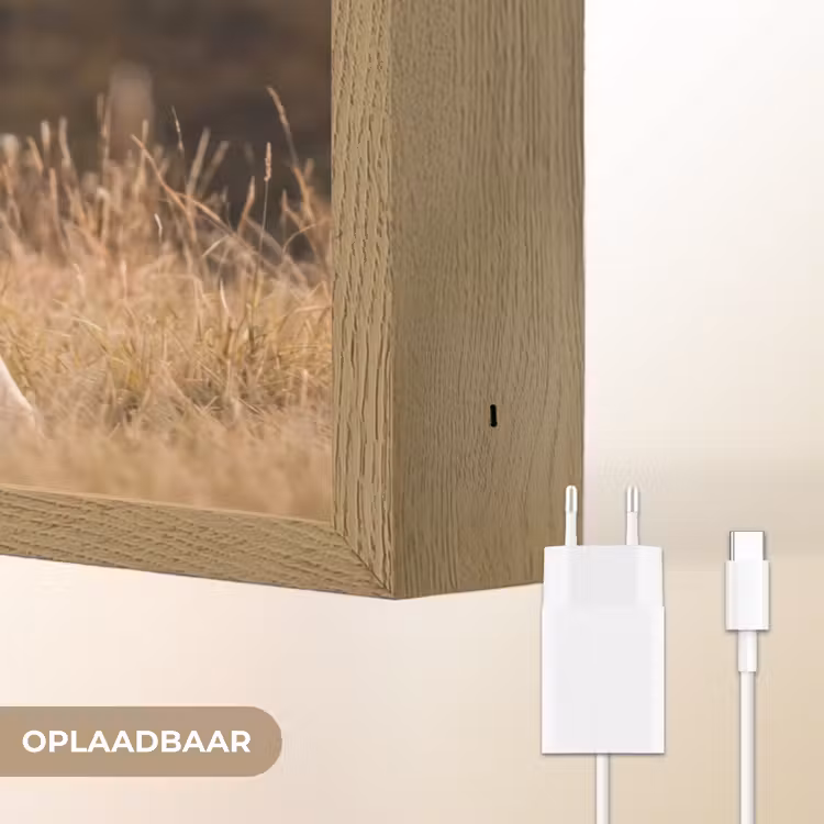 Lightbox - Wandlamp - Paard - Bruin - Gras — 7