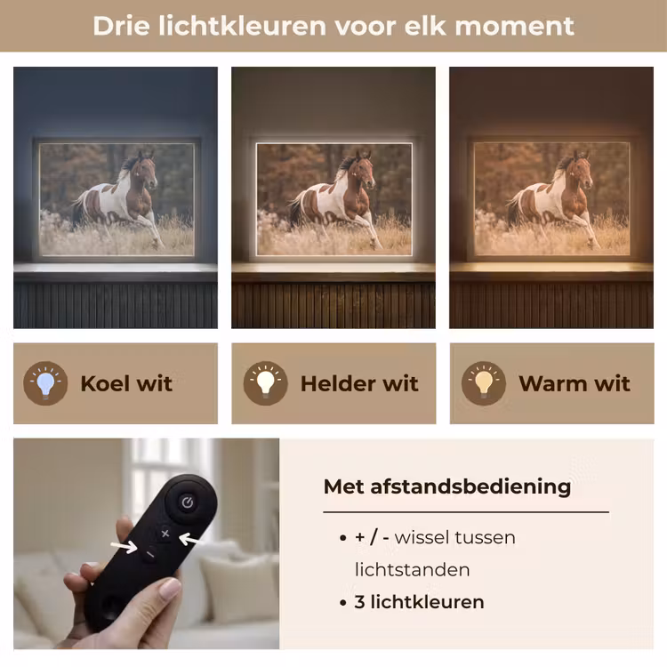 Lightbox - Wandlamp - Paard - Bruin - Gras — 8
