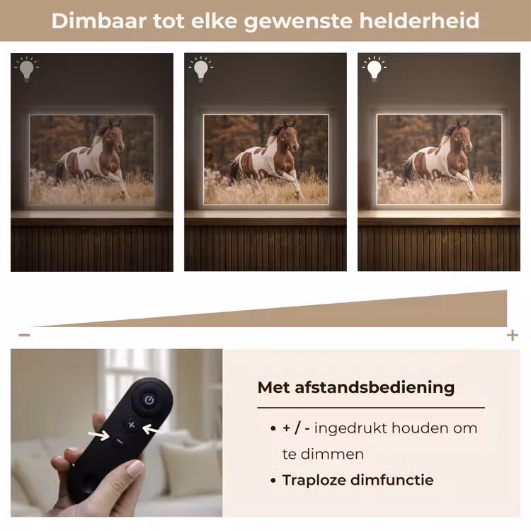 Lightbox - Wandlamp - Paard - Bruin - Gras — 9