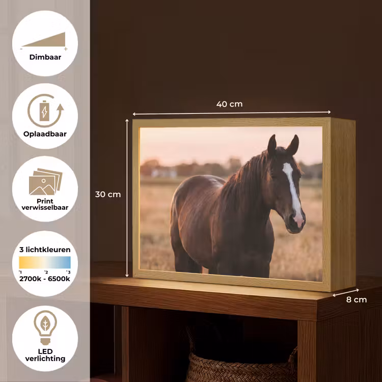 Lightbox - Wandlamp - Paard - Zonsondergang - Bruin — 10