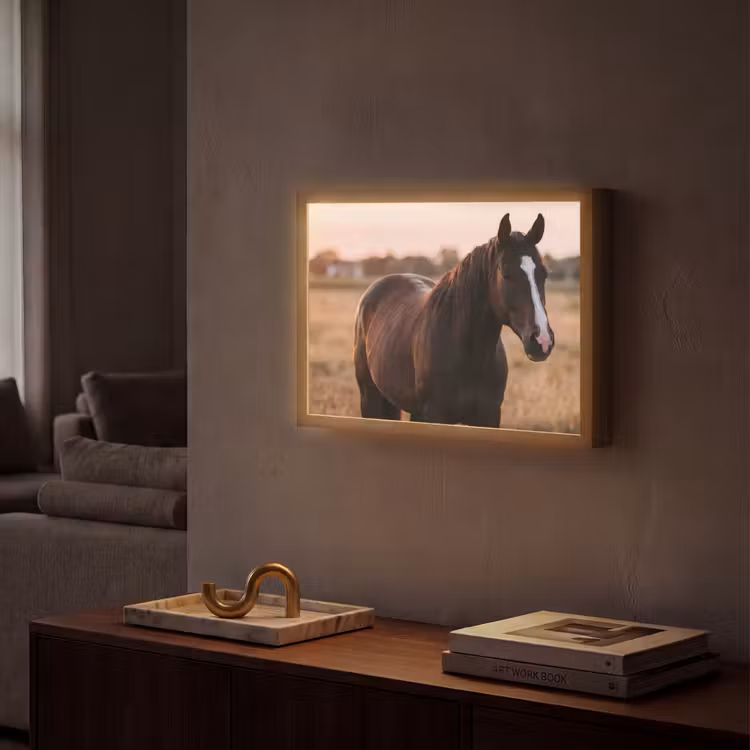 Lightbox - Wandlamp - Paard - Zonsondergang - Bruin — 2