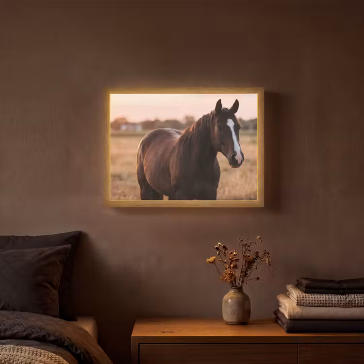 Lightbox - Wandlamp - Paard - Zonsondergang - Bruin — 3