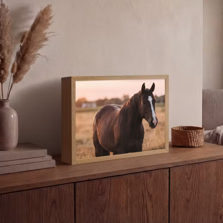 Lightbox - Wandlamp - Paard - Zonsondergang - Bruin — 4