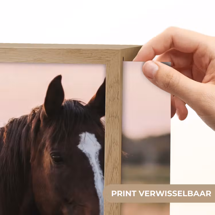 Lightbox - Wandlamp - Paard - Zonsondergang - Bruin — 5