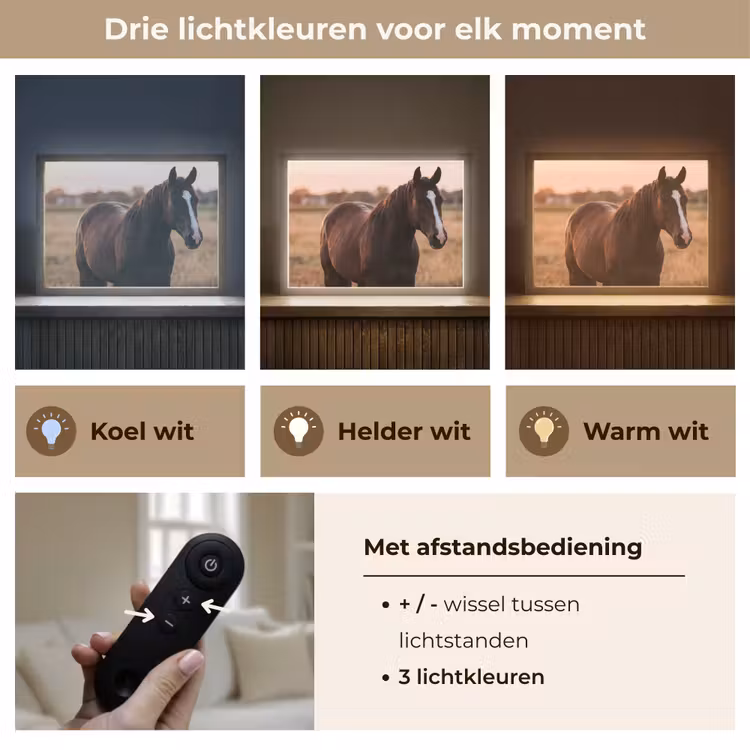 Lightbox - Wandlamp - Paard - Zonsondergang - Bruin — 8