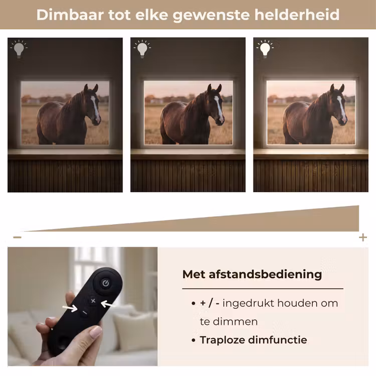 Lightbox - Wandlamp - Paard - Zonsondergang - Bruin — 9