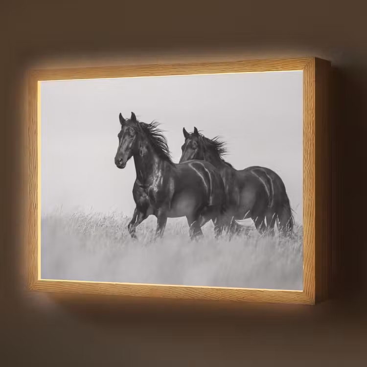 Lightbox - Wandlamp - Paarden - Gras - Zwart - Wit — 1