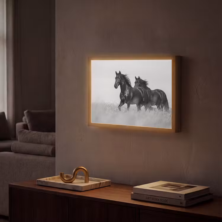Lightbox - Wandlamp - Paarden - Gras - Zwart - Wit — 2