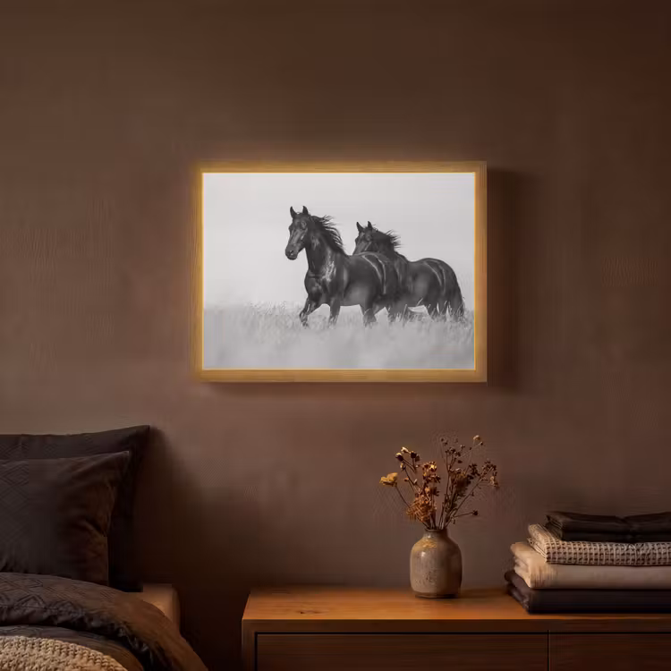 Lightbox - Wandlamp - Paarden - Gras - Zwart - Wit — 3