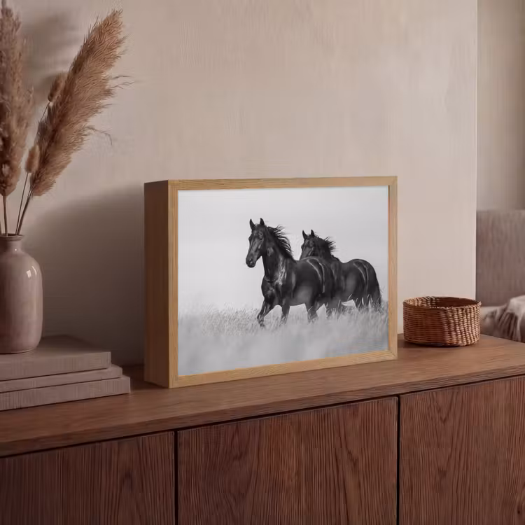 Lightbox - Wandlamp - Paarden - Gras - Zwart - Wit — 4