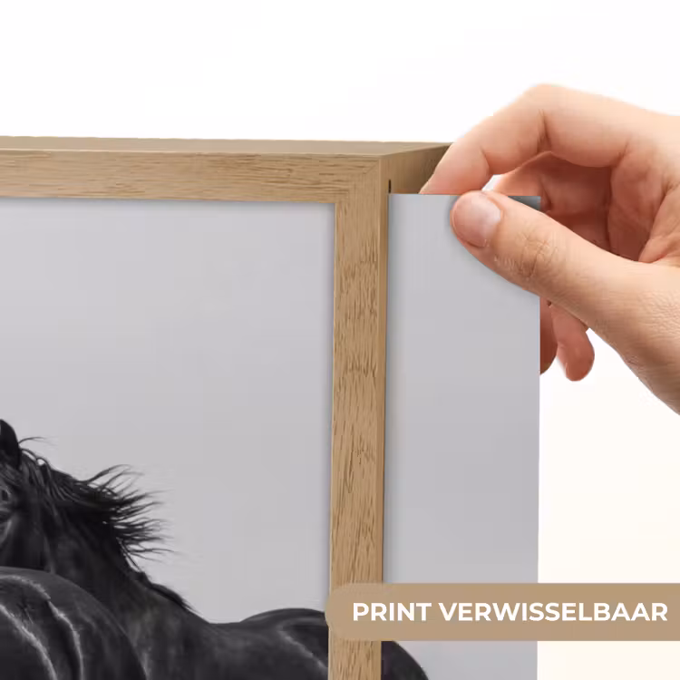 Lightbox - Wandlamp - Paarden - Gras - Zwart - Wit — 5