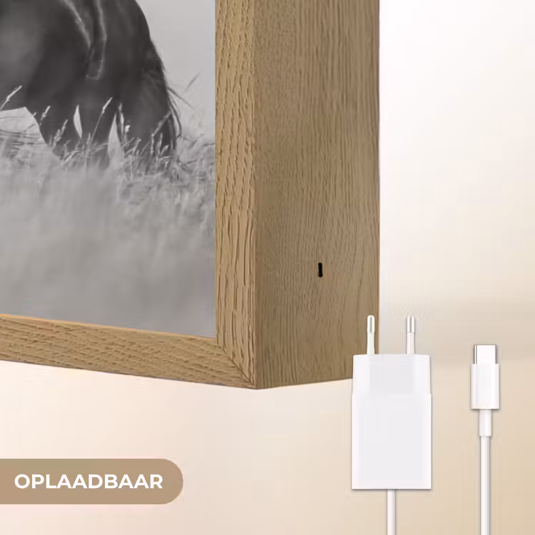 Lightbox - Wandlamp - Paarden - Gras - Zwart - Wit — 7