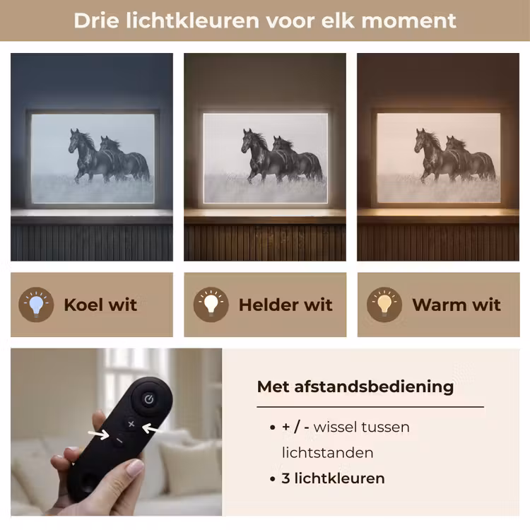 Lightbox - Wandlamp - Paarden - Gras - Zwart - Wit — 8